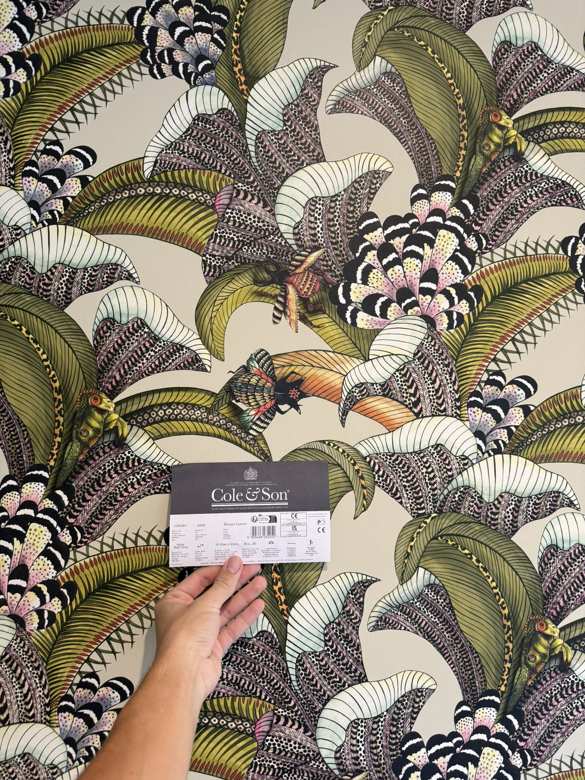 Cole & Son Hoopoe Leaves label held against the installed paper